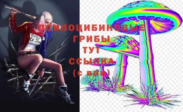 хмурый Сосновка