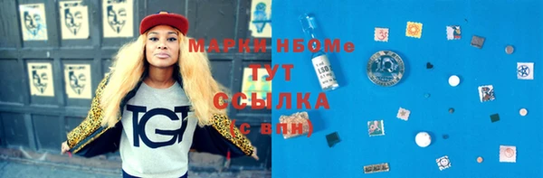 мдпв Верея