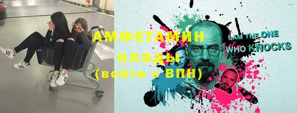 мдпв Верея