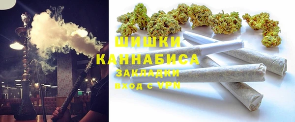 мдпв Верея