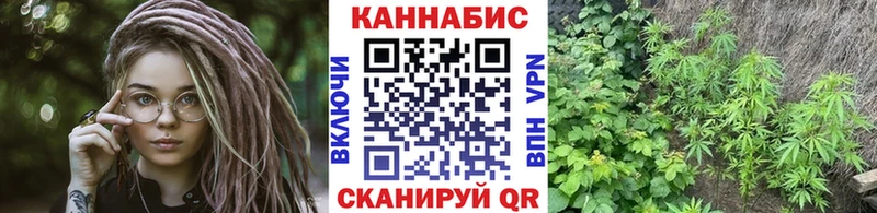 Конопля MAZAR  магазин продажи   shop какой сайт  Ростов 